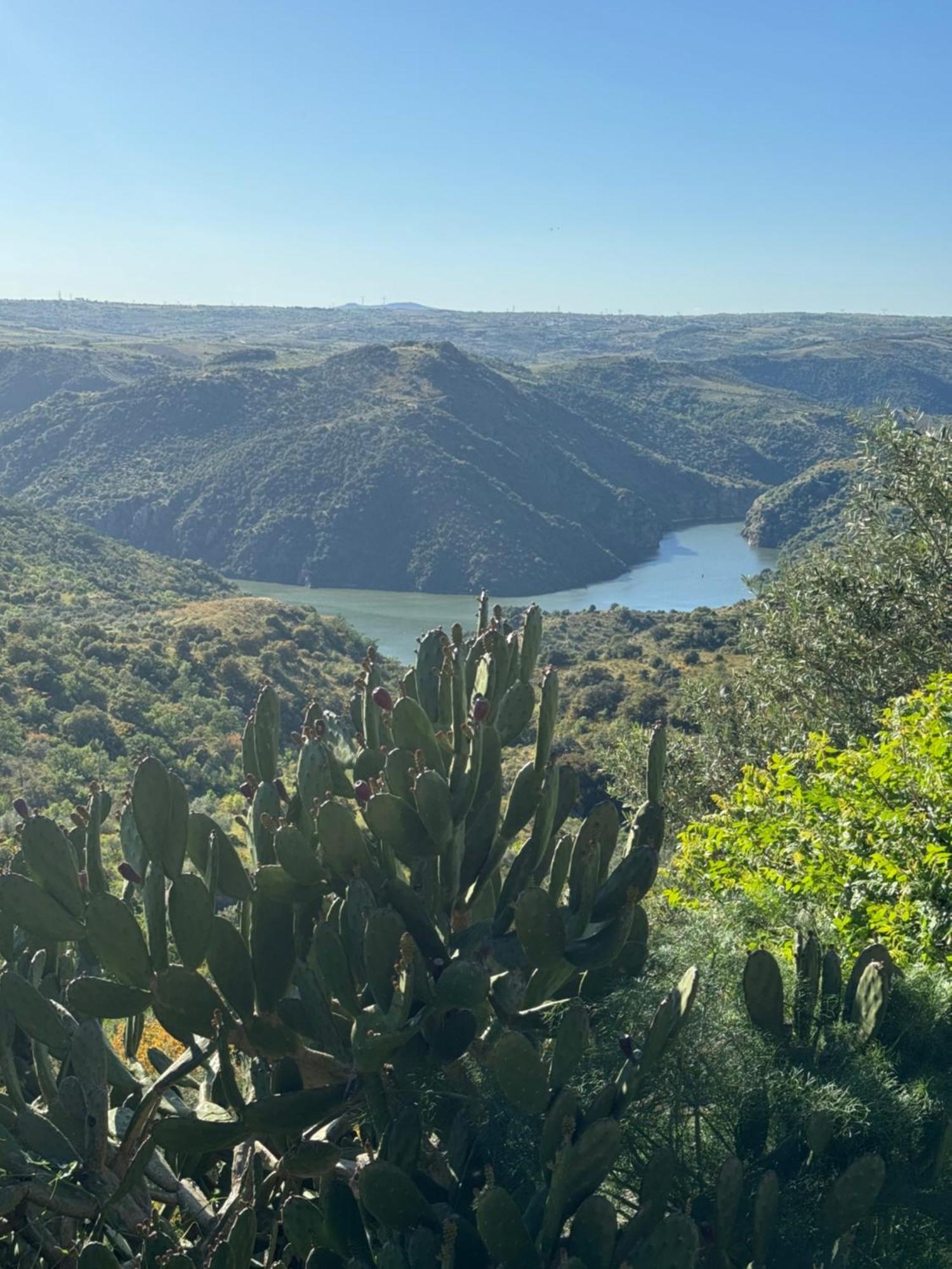 La Casita De Los Arribes Fermoselle Buitenkant foto