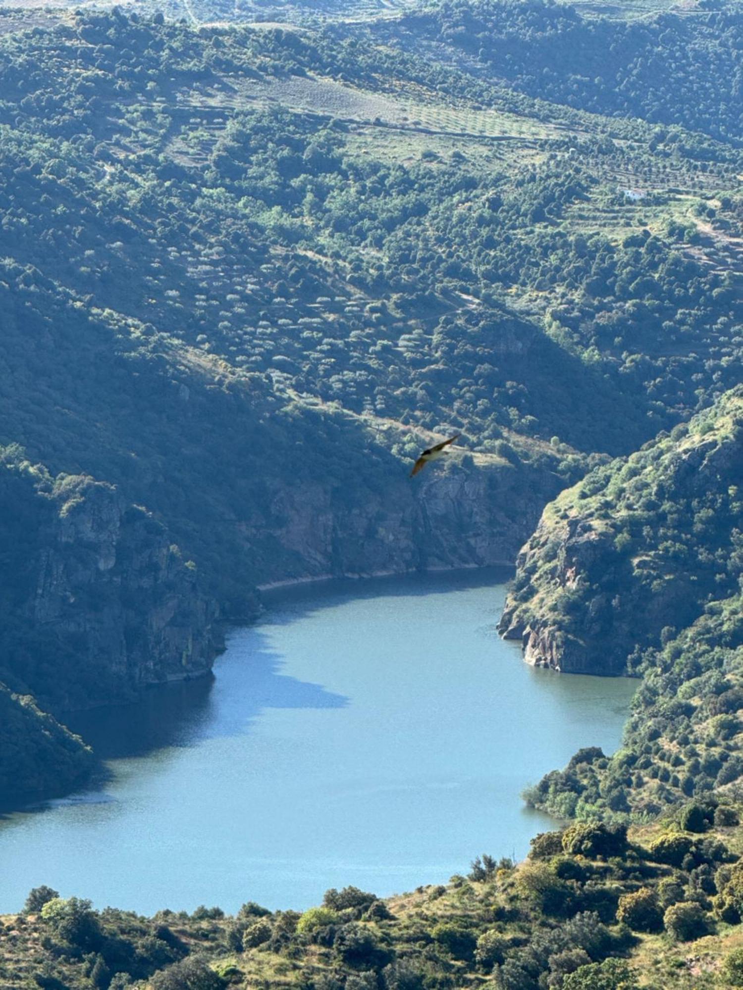 La Casita De Los Arribes Fermoselle Buitenkant foto