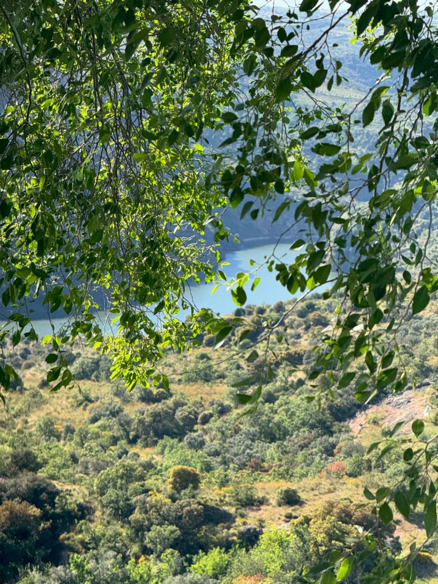 La Casita De Los Arribes Fermoselle Buitenkant foto